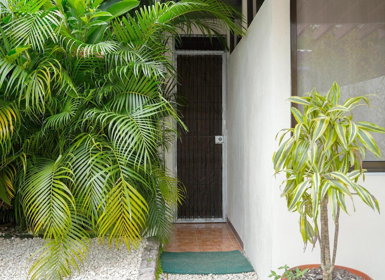 Apartamentos Y Studios Brisas Del Mar Santa Teresa Playa Santa Teresa  Dış mekan fotoğraf