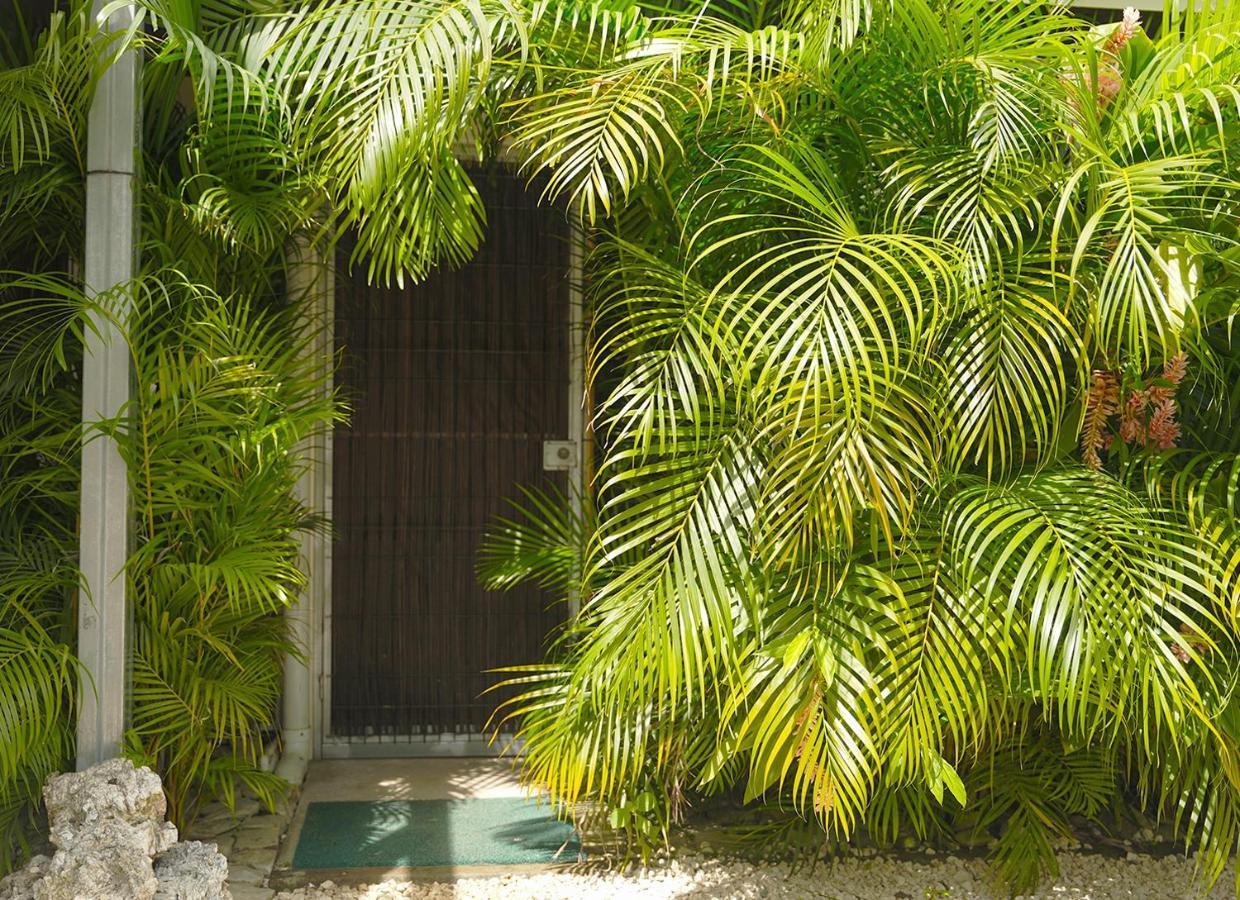 Apartamentos Y Studios Brisas Del Mar Santa Teresa Playa Santa Teresa  Dış mekan fotoğraf